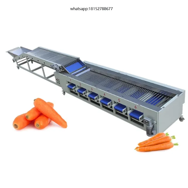 Cucumber Carrot Sorting Machine Carrots Grading Machine