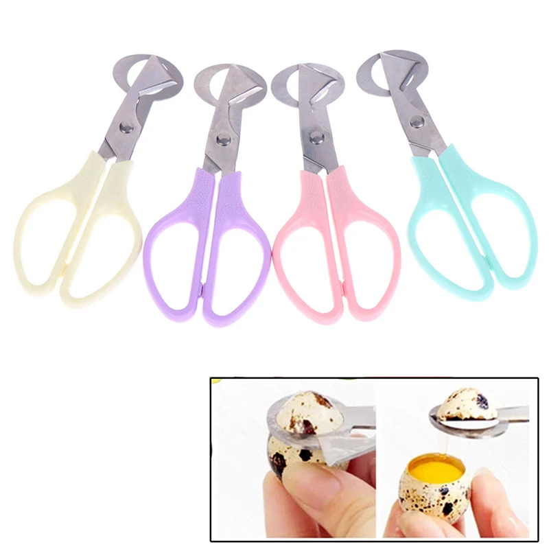 

Quail Egg Scissors Bird Egg Scissors Stainless Steel Egg Cutters EggShell Cutters Egg Opener Kitchen Hand Tools Scissors