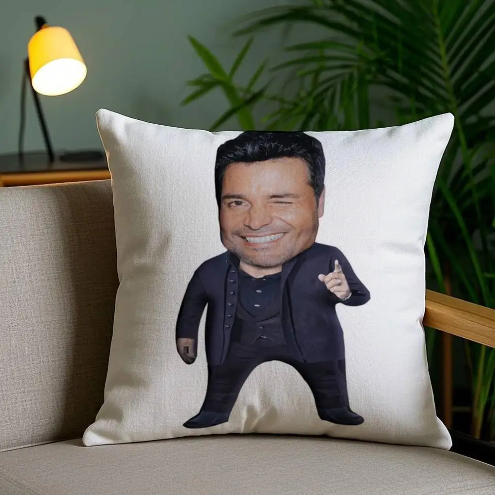 C-Chayanne Chiquito مضحك كيس وسادة نسيج قطيفة لينة المخدة مزدوجة الوجهين طباعة غطاء وسادة أريكة رمي #4