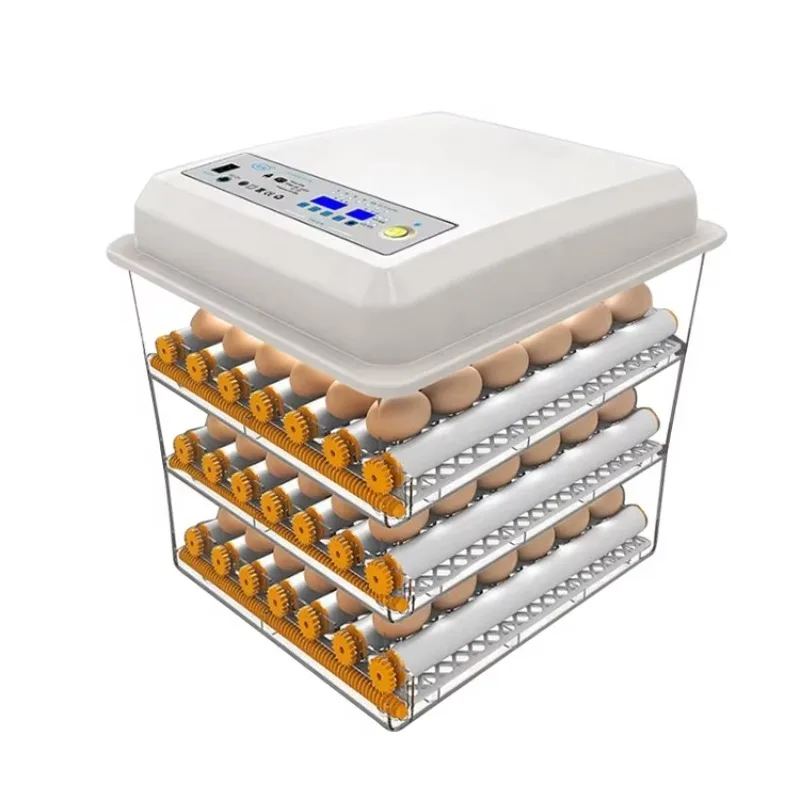 High-quality fully automated commercial  Better hatching model Poultry