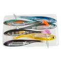 8024-6colorx101