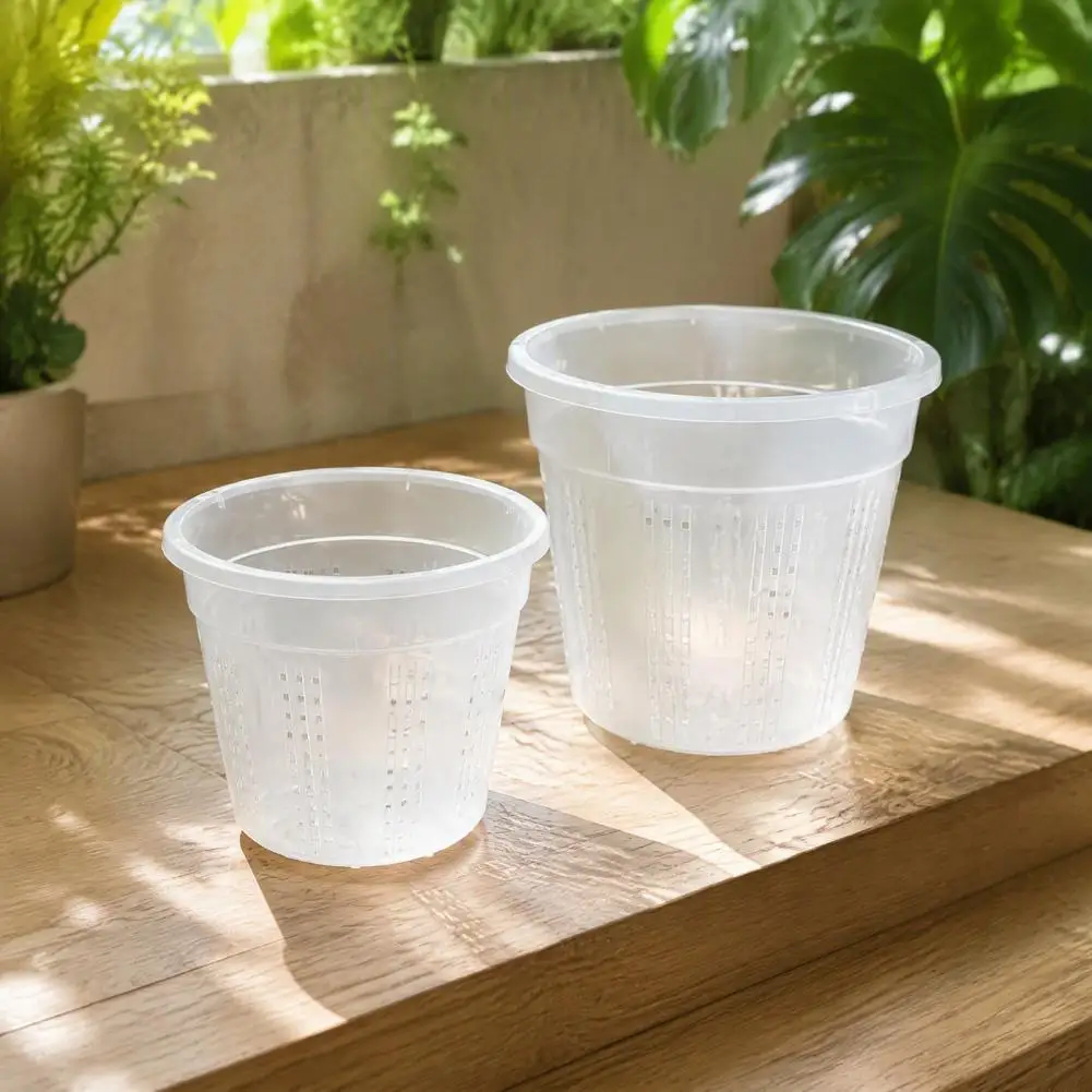 Phalaenopsis Planter, Clear Plastic Orchid Pot with Drainage Holes, Root Control Design, Breathable Slotted Plant Containers