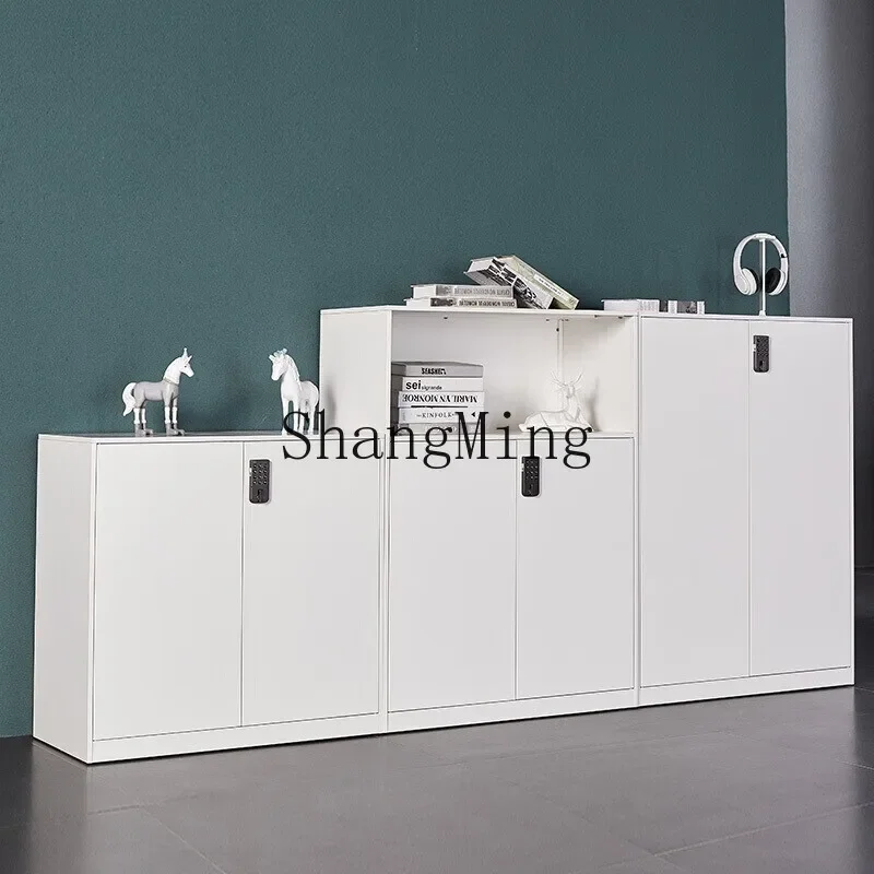 SM Disassembly Password File Locker Office Partition Side Cabinet Wall-Mounted Black and White Combination with Lock