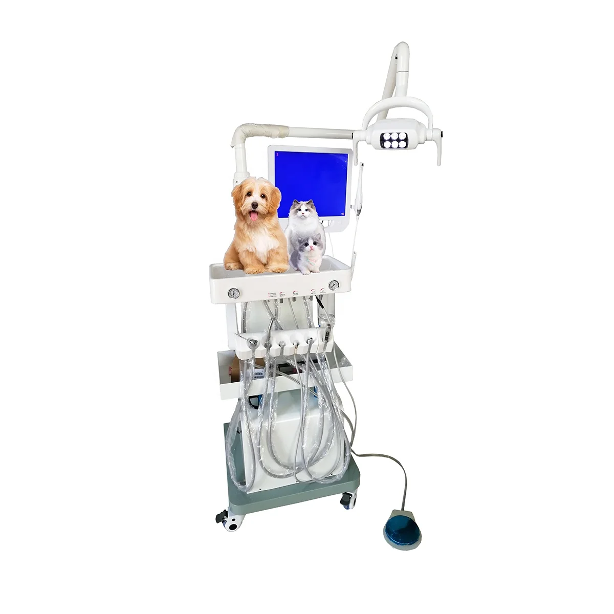 

Mobile Dental Unit With Compressor Dental Veterinary Equipment