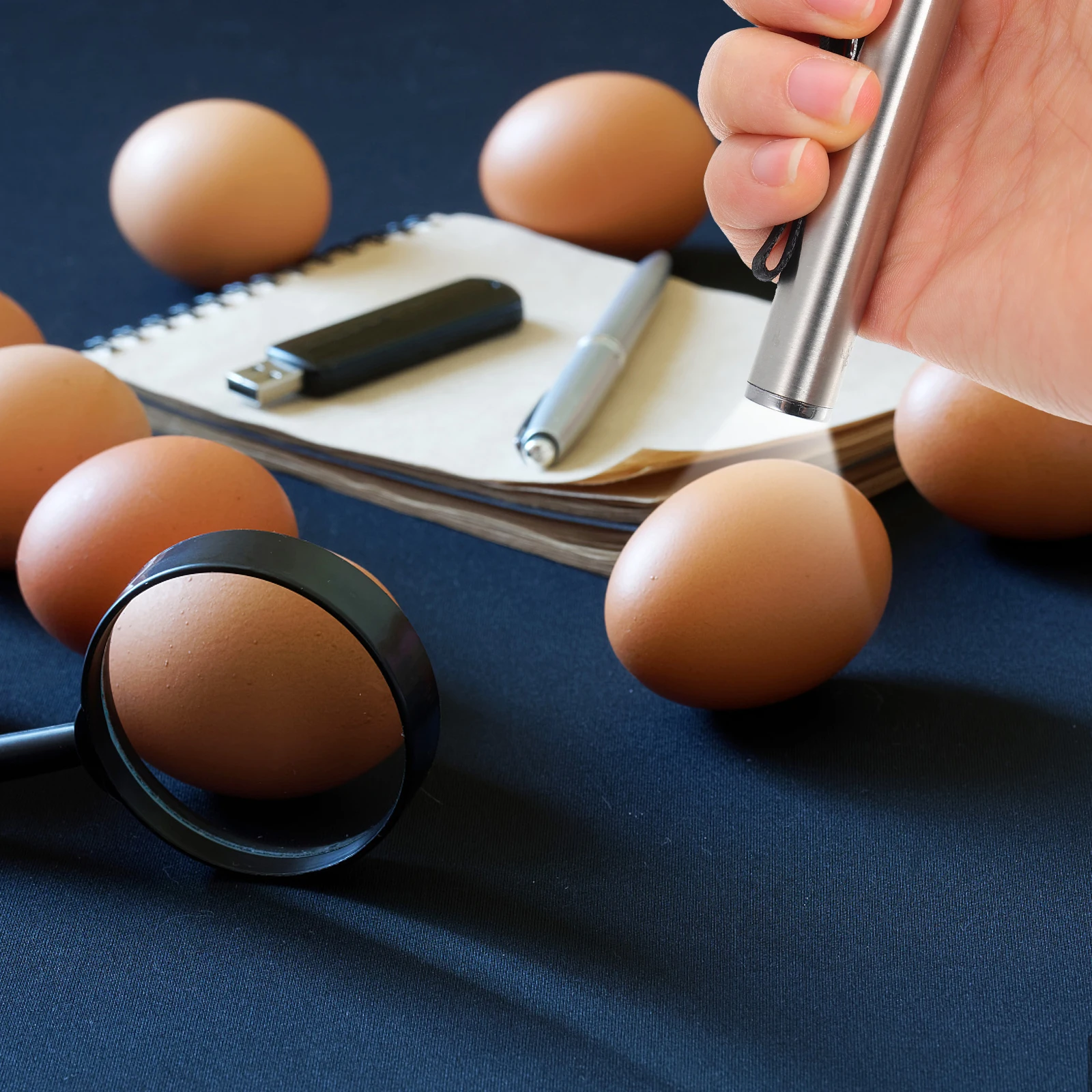 

Premium Led Egg Candler Durable Stainless Steel Nylon Lightweight Incubation Lamp Silver Color Egg Testing Light