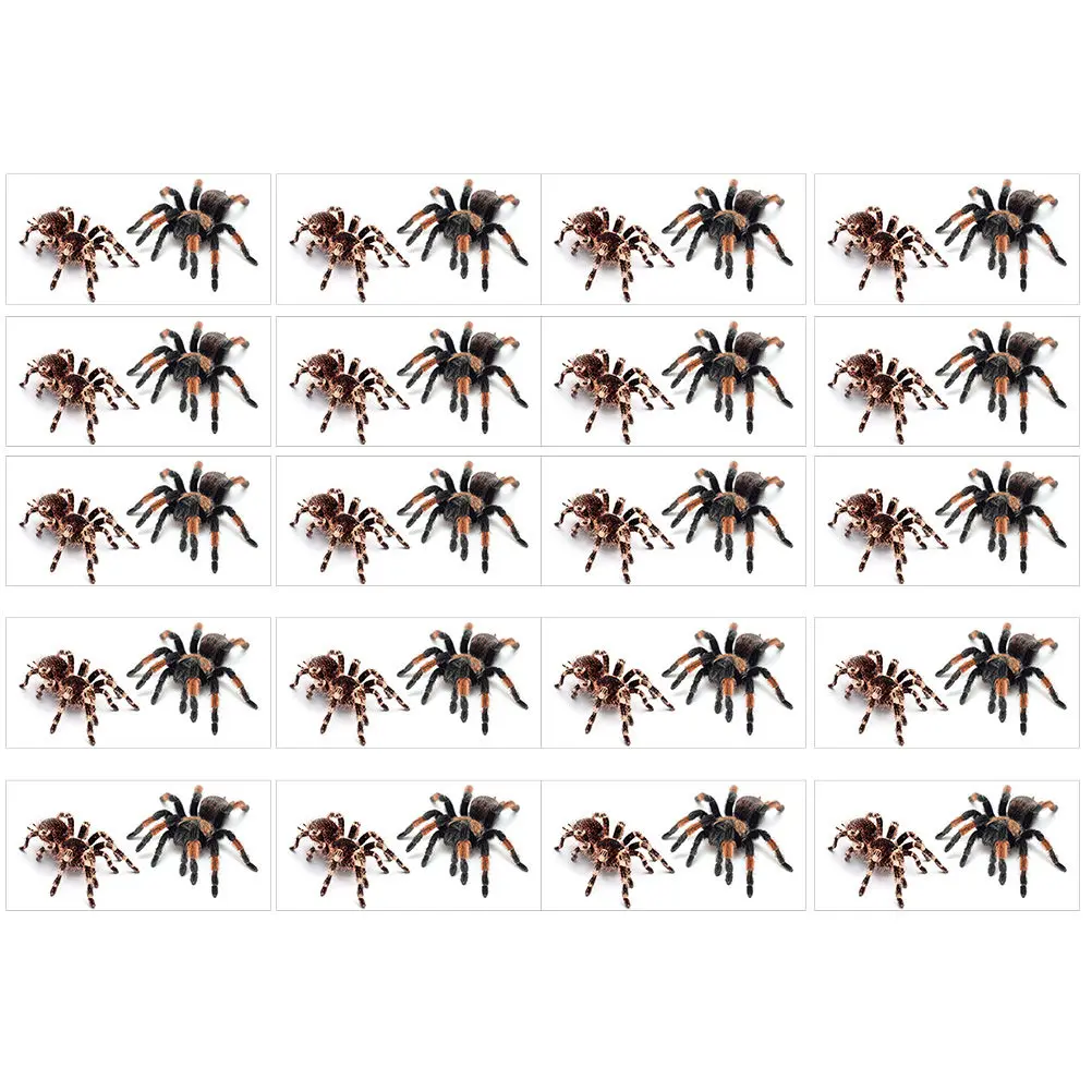 adesivos-de-tatuagem-de-aranha-20-folhas-tatuagens-temporarias-realistas-para-o-corpo-acessorios-para-festa-de-halloween-aderecos-removiveis