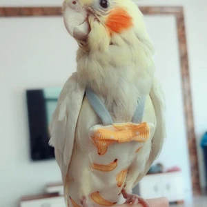 Bir smoothie için ürünlerin en iyi 10 satışı-no. 3