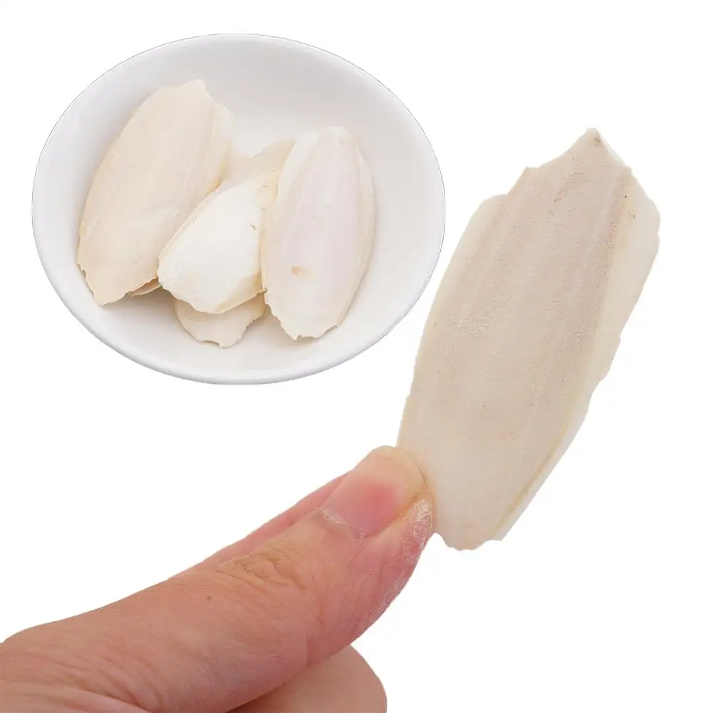 Natürliches Kaulquappenknochen-Kauspielzeug für Papageien, Wellensittiche, Hamster und Kleintiere, zum Zähneputzen, Kalziumergänzung, Vogelzubehör, gesund – Detail 7