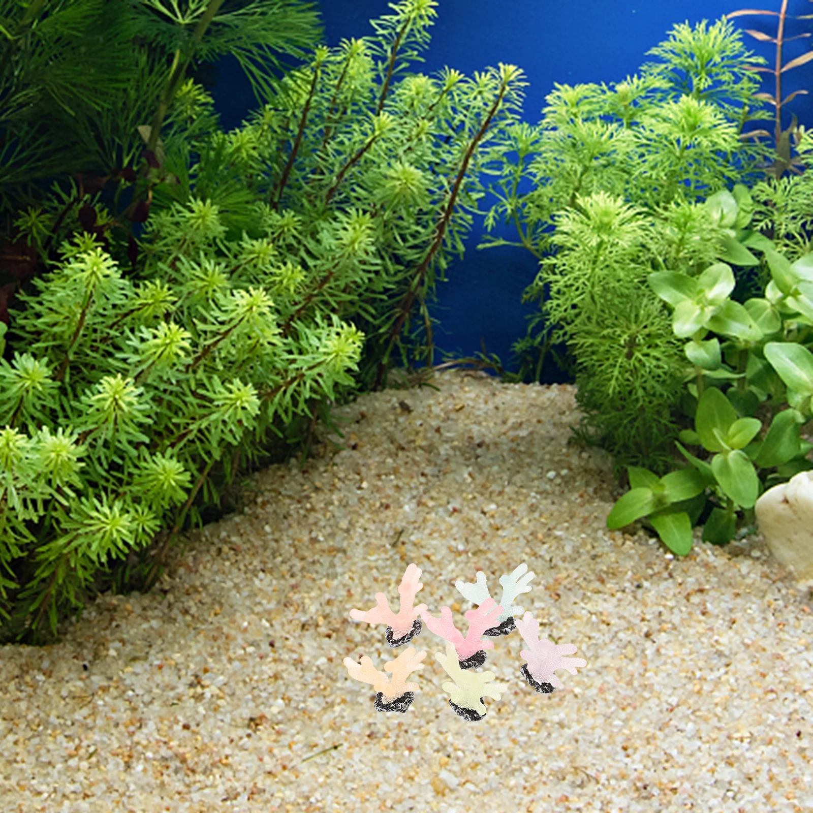 

12 Pcs Desktop Luminous Coral Ornaments Decoration Small Fish Resin Tank Supplies