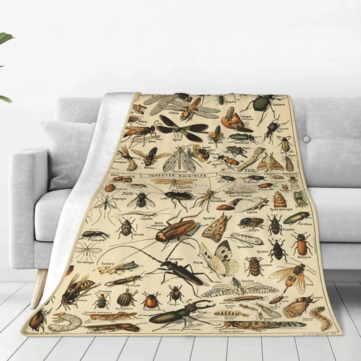Insects In French Blanket Soft Warm Flannel Throw Blanket Plush for Bed Living room Picnic Travel Home Sofa