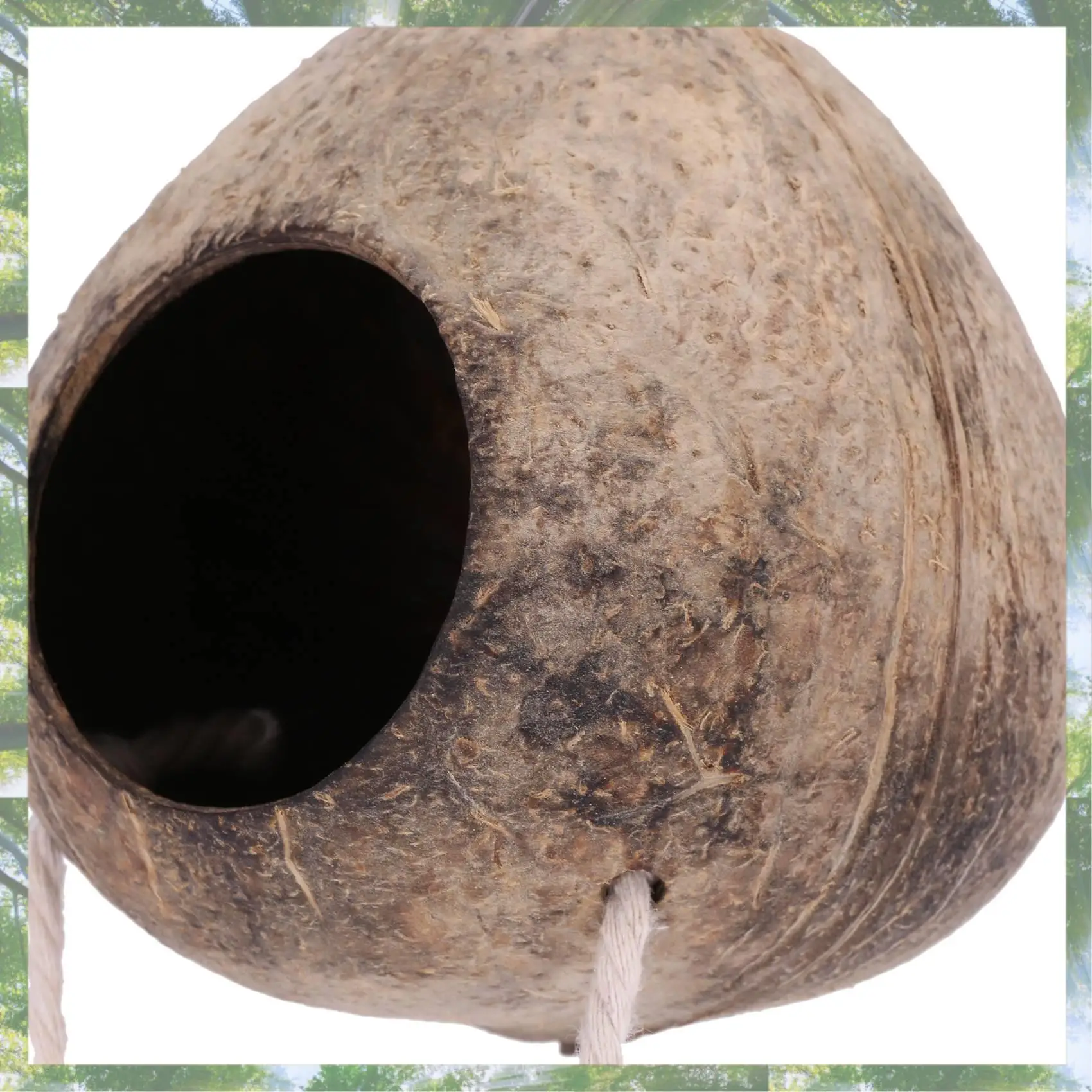 2025 Trend 100% Nat… - image