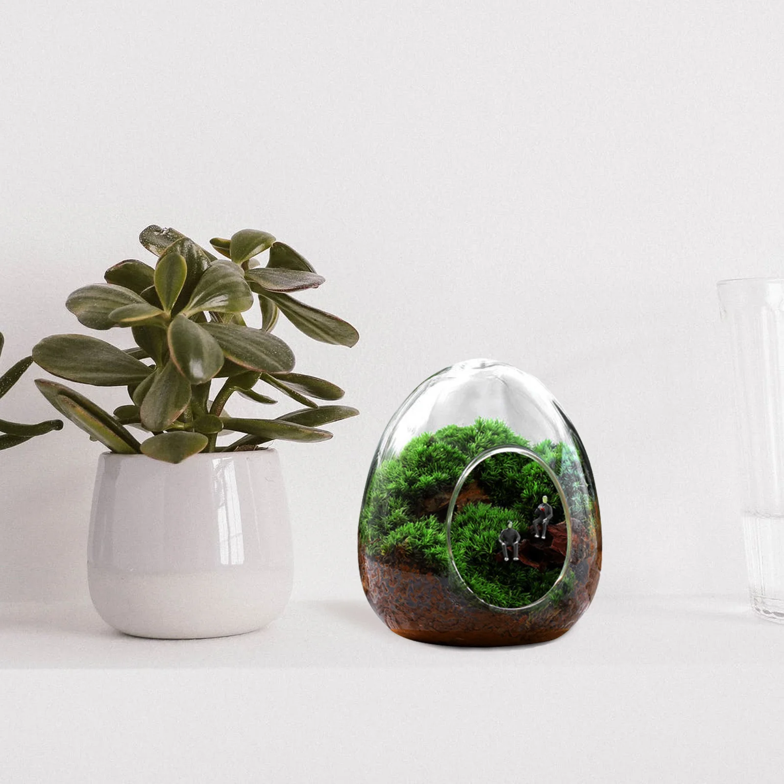 

Terrarium Glass Containers Micro Landscape Bottle Natural Moss Ecological Bottle Handmade Transparent Planter for Indoor Garden