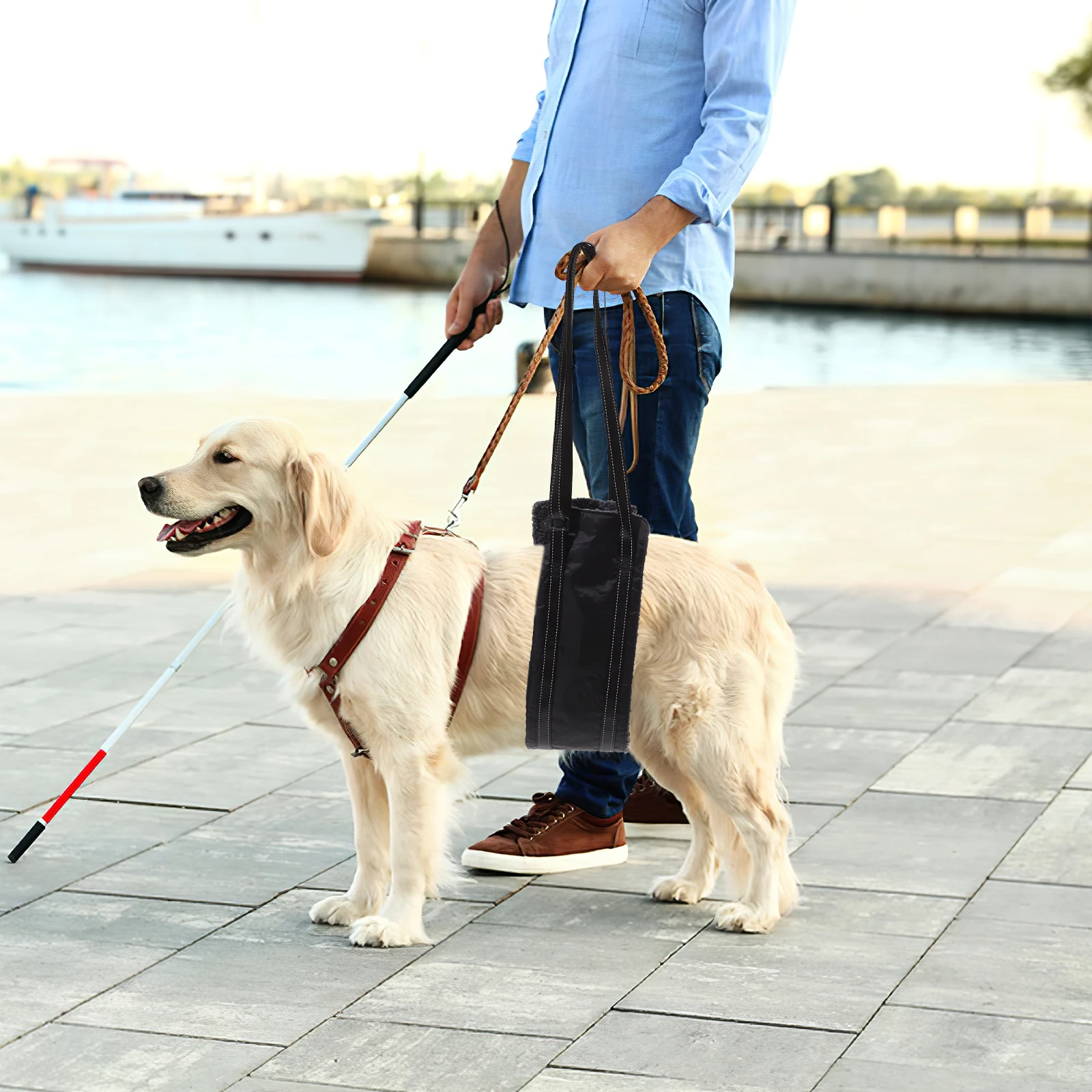 

Portable Harness Support Belt for Back Legs Pet Injury Sling Reflective Outdoor Black Lift B Elderly Large Dogs Leg Support