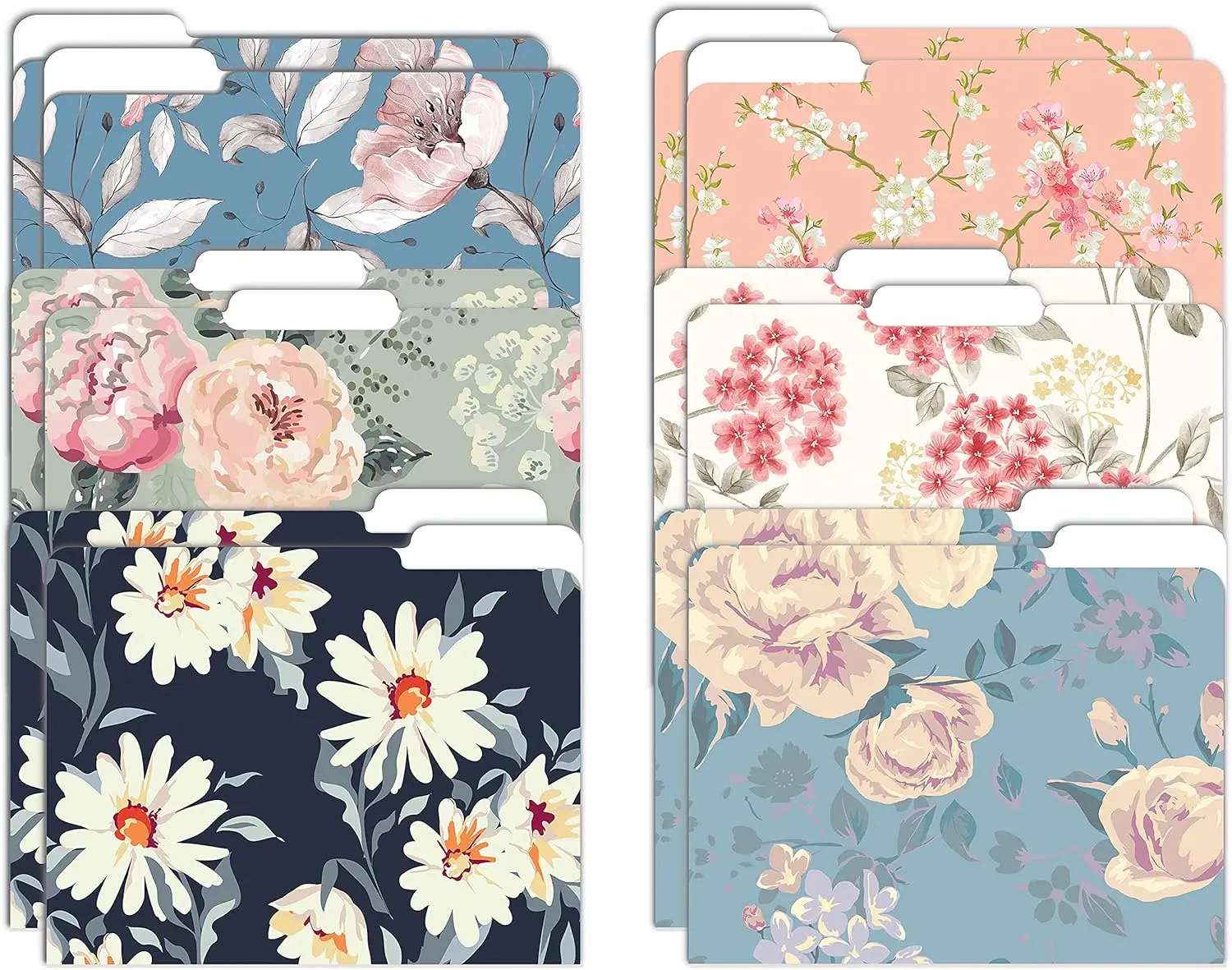 

Decorative File Folders, 12 Pack with 6 Floral Designs, Heavyweight Letter Size for Office Organization