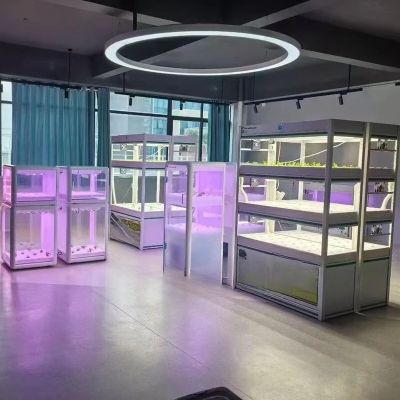 Smart Farm Facilities Space Planting Box Children's Planting Observation Equipment