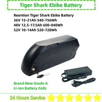Reention Tiger Shark Down Tube EBike Battery 36v 15Ah 18Ah 20Ah 21Ah 48V 13Ah 15Ah 17.5Ah 52V 14Ah for Agm GT250 Fatbike Battery