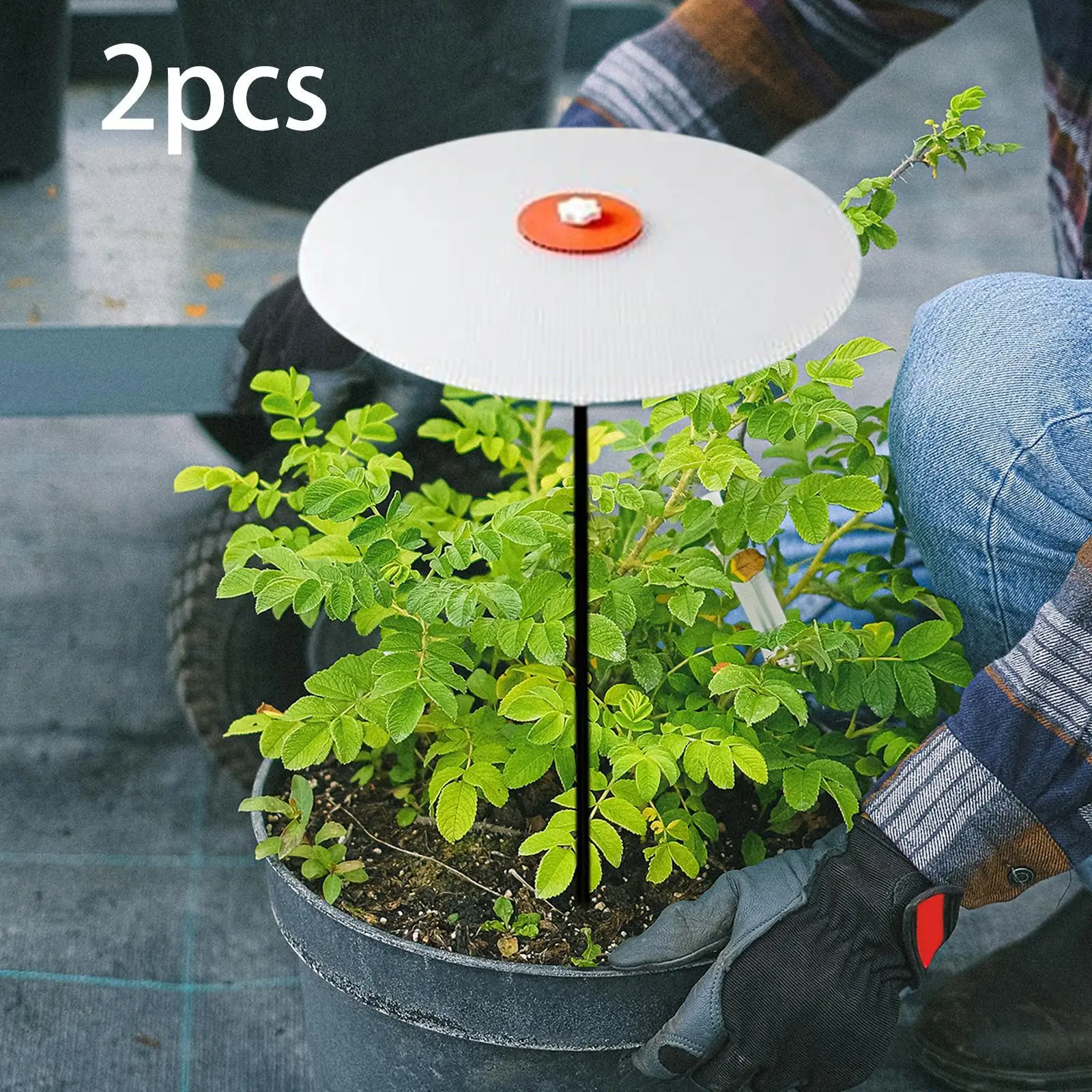 

2 Pieces Outdoor Plant Umbrella Lightweight Sturdy Canopy Sunlight Umbrella