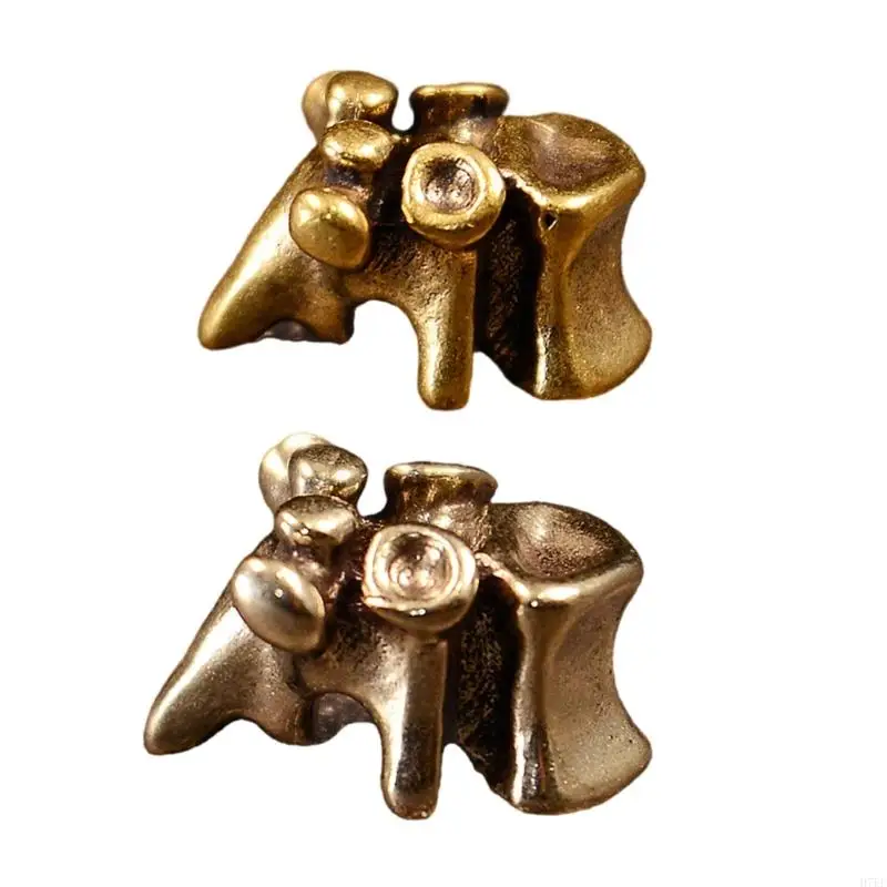 

Brass Spine Lanyard Beads Everyday Gear Keychain Hanging Pendant Rope Bead Accessory for Outdoor Enthusiasts H7EF