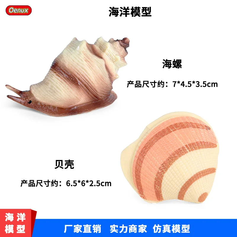 Children's Early education beach toys static conch shell jellyfish simulation marine animal model decoration ornaments