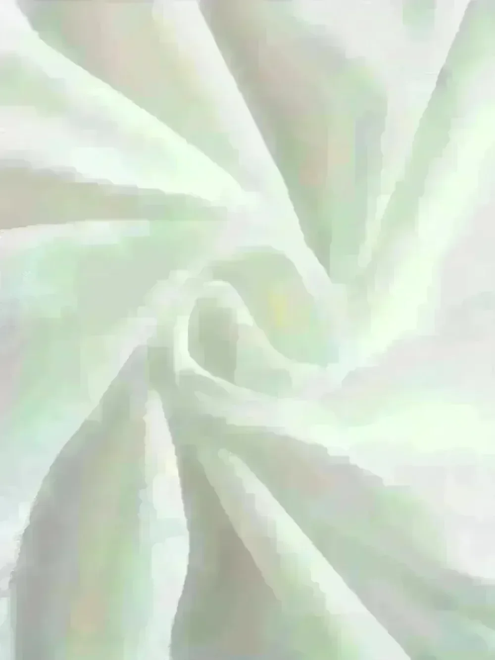 تي شيرت ديزني إن ماي بايو Adventure Era The Princess and the Frog Disney Princess Tiana