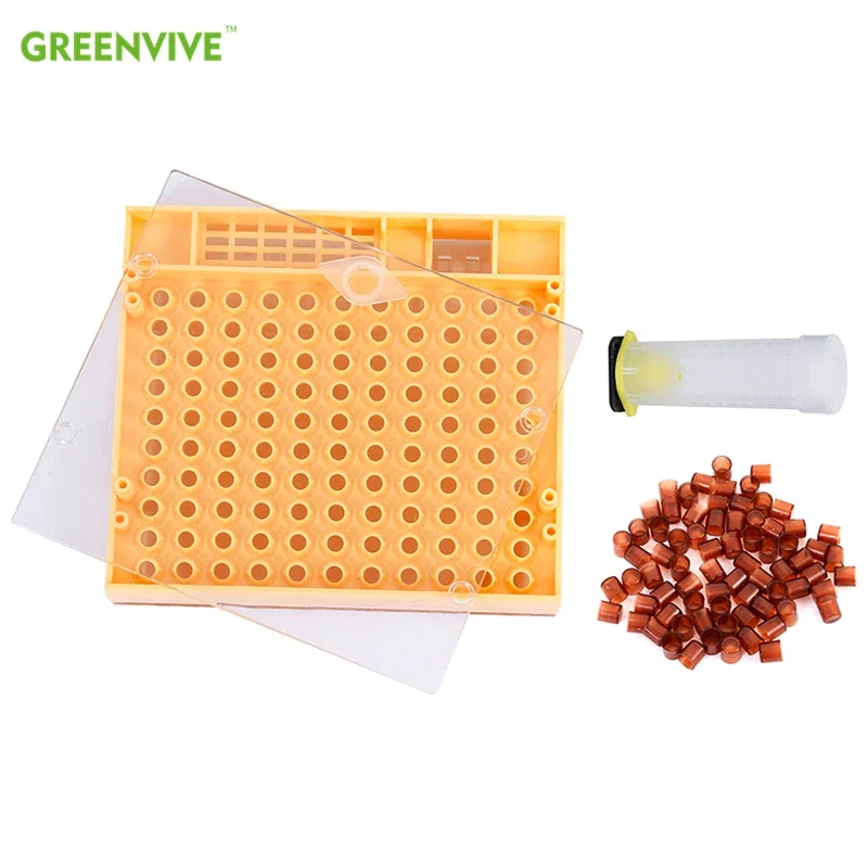 Greenvive Beekeeping Tools Equipment Set Queen Rearing System Cultivating Box 110pcs Plastic Bee Cell Cups Cup kit Queen Cage