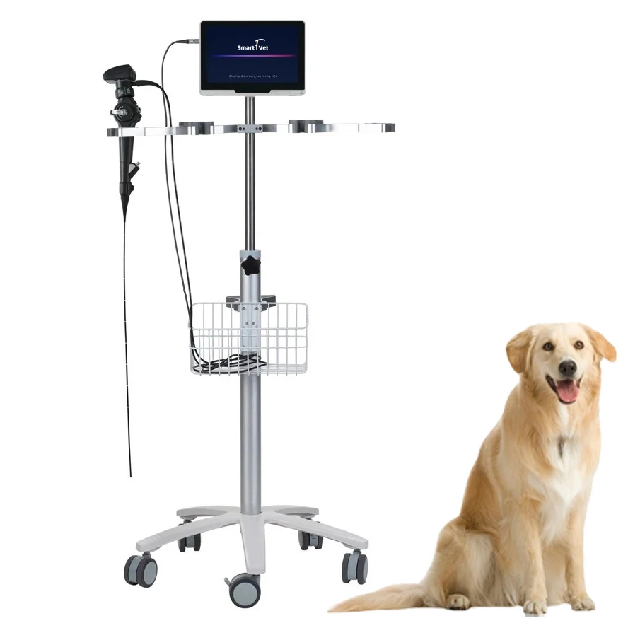 Flexible Portable Medical Grade Handle Reusable Fiber Optic Video Bronchoscope For Veternary Animal Clinic ENT