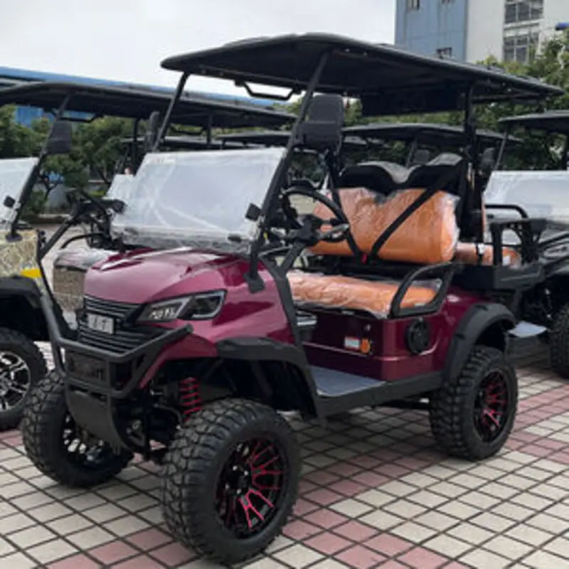 Golf Cart 4 Wheel Electric Vehicle 2 Seater Rear Cargo Rack For Villa Golf Course Community Utility Buggy