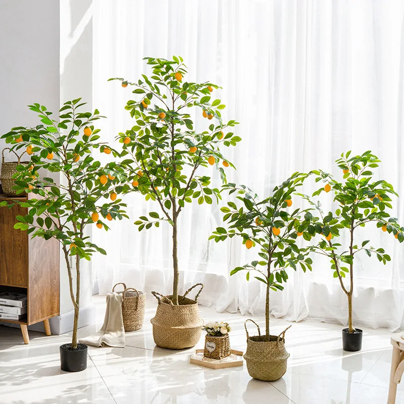 شجرة الليمون، نباتات خضراء، نباتات بوعاء، مشاهير الإنترنت، زهور ديكور داخلي كبيرة، زينة غرفة المعيشة، نباتات مزيفة