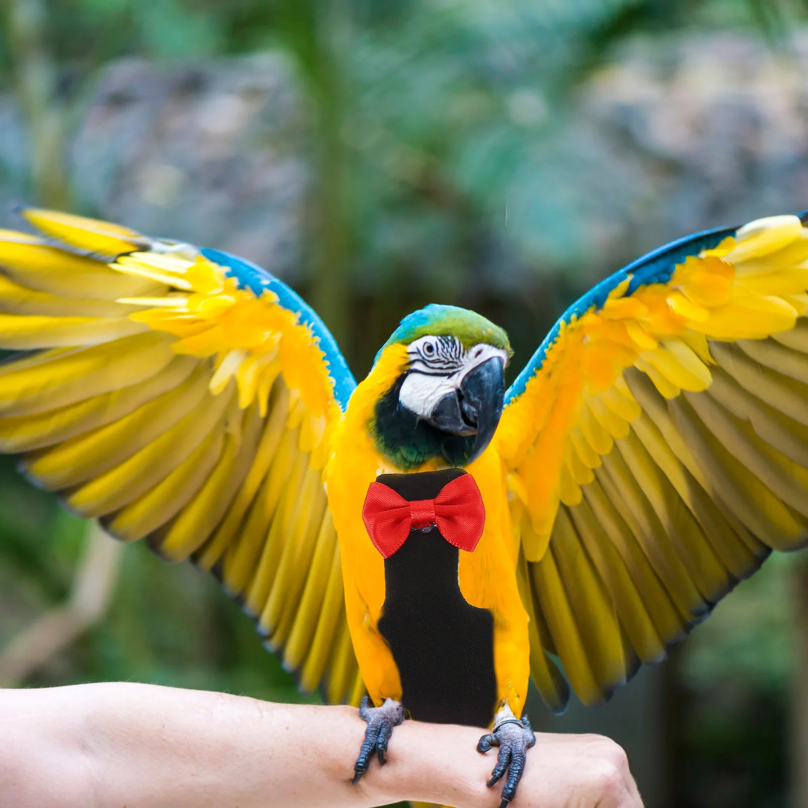 

Elegant Bird Diaper Suit Washable Reusable Flight Wear for Parrot Budgie Lightweight Soft Skin-Friendly Stylish Design