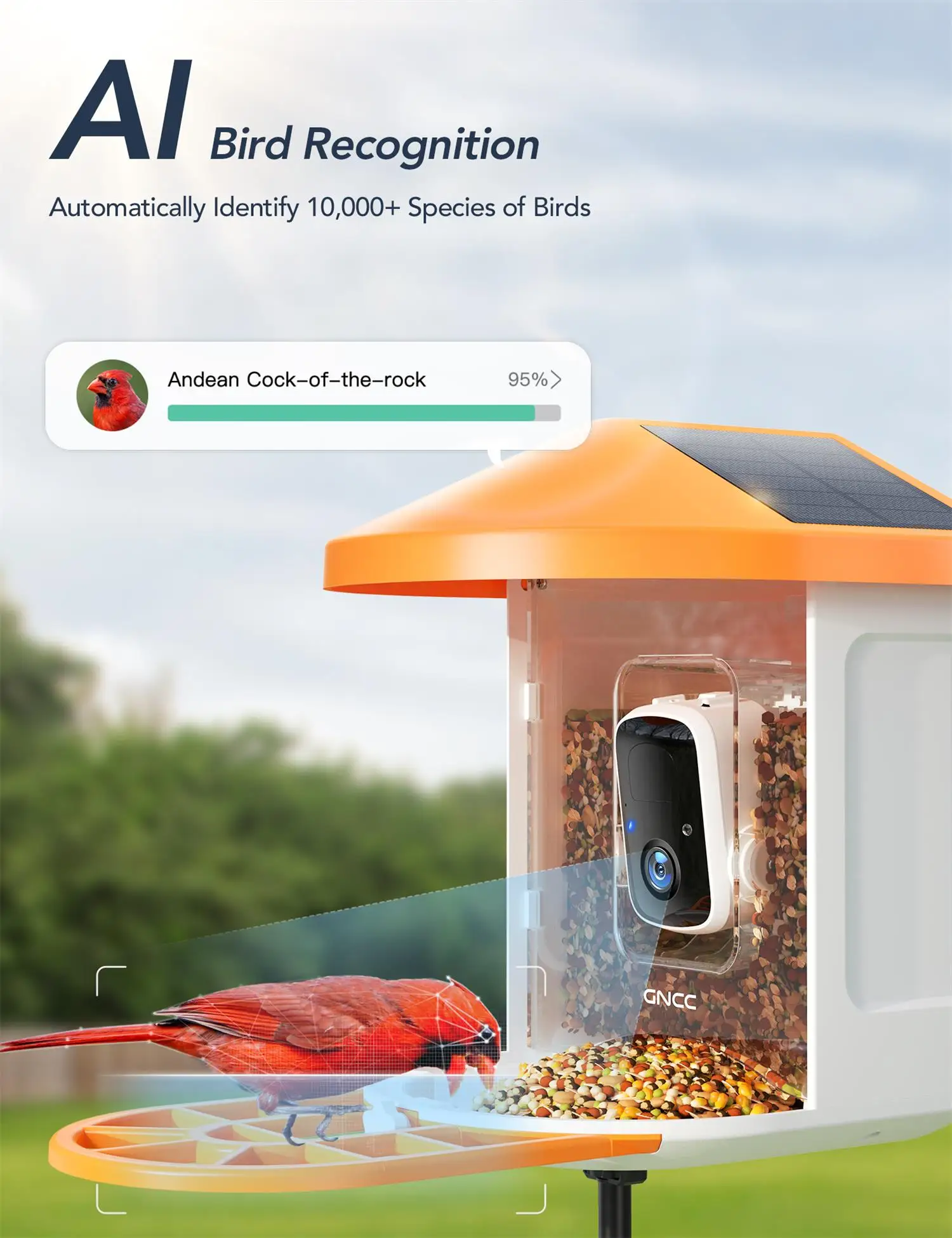 GNCC Smart Bird Feeder with Camera Wireless Outdoor, 1080P Wild Bird Feeders, Squirrel Proof, Solar Powered, AI Identify