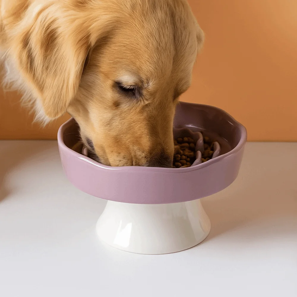 #46 Latest Pet Food Containers Offers