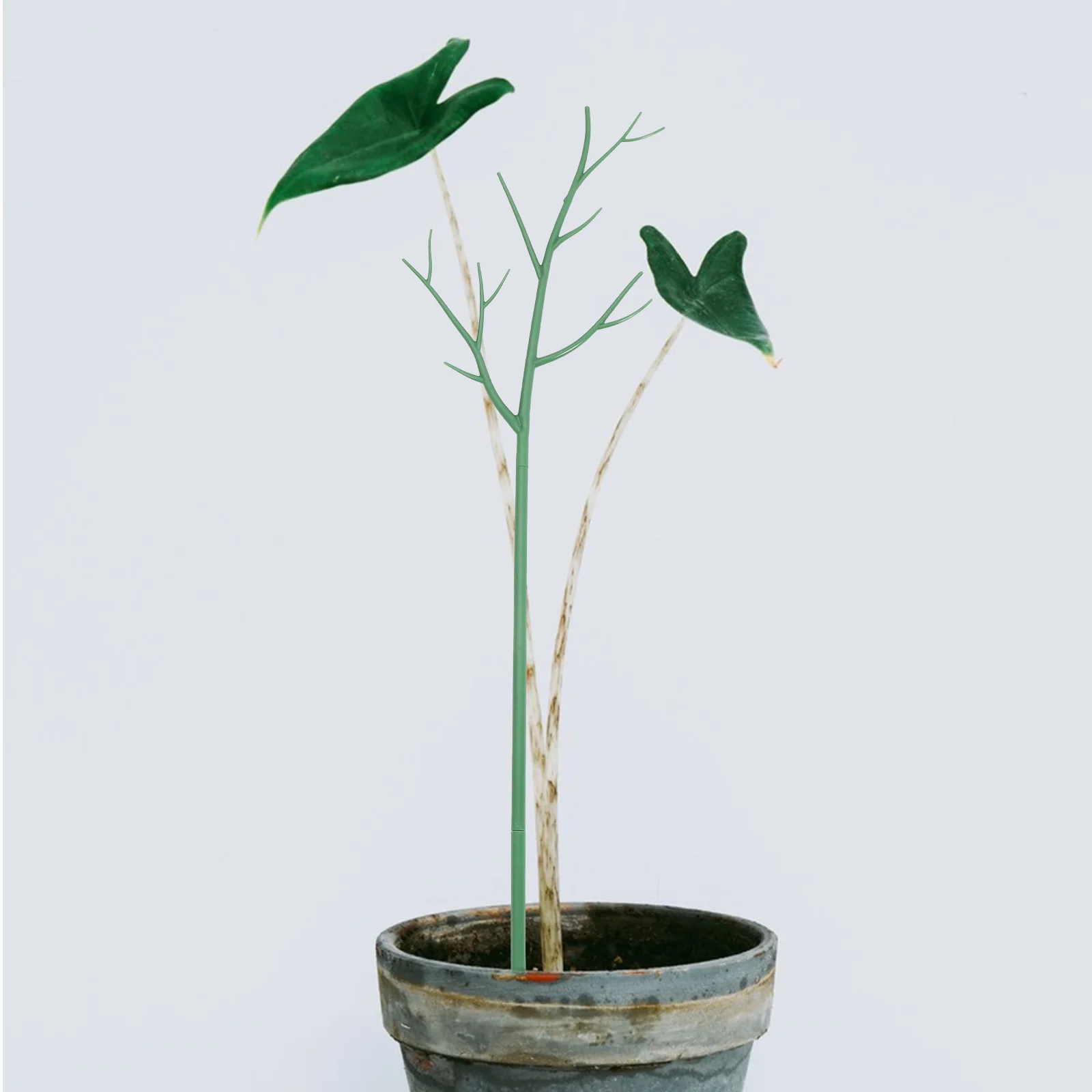 1 مجموعة تسلق النبات دعم حصة قابل للتعديل ارتفاع الجذعية دعم القطب لحديقة في الشرفة أصائص زرع حصص النباتات البلاستيكية #2