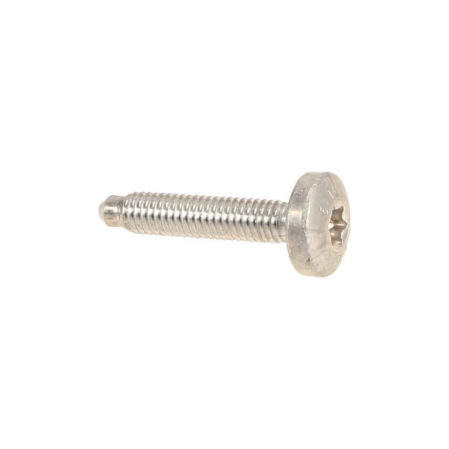 99907390531 99907390530 Flat round head bolt aluminum alloy M 6 X 30 For Porsche 4