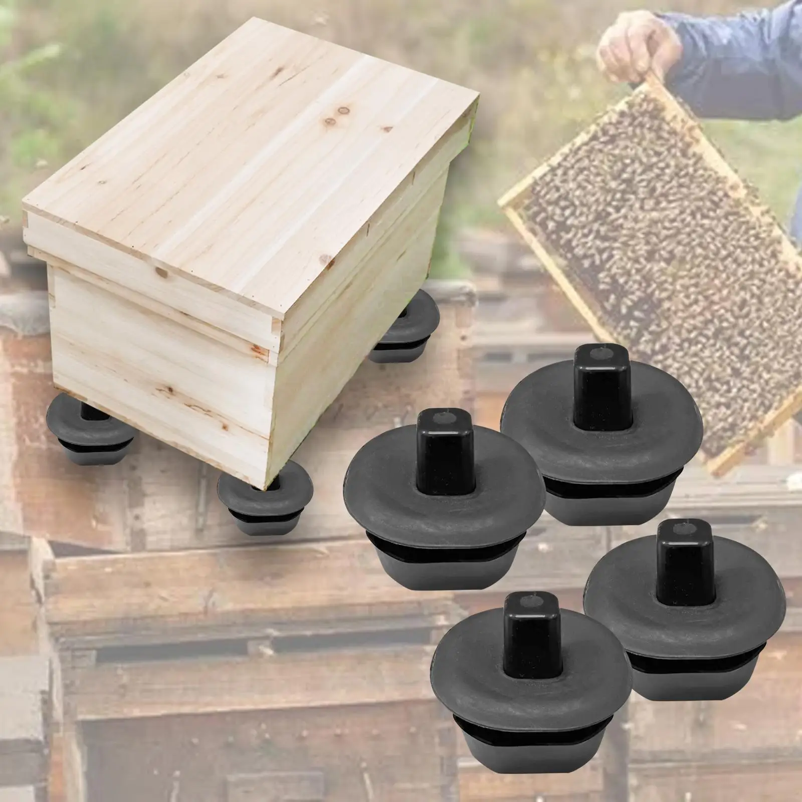 

4 Pieces Beehive Stand Easy to Install Beekeeping Equipment Tool Black Safe