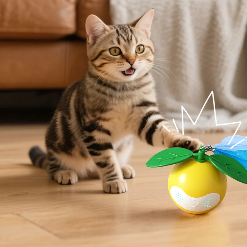 고양이 적외선 인터랙티브 볼 장난감 자동 롤링 볼 테일 - Power Tools Cat 리뷰 및 가격