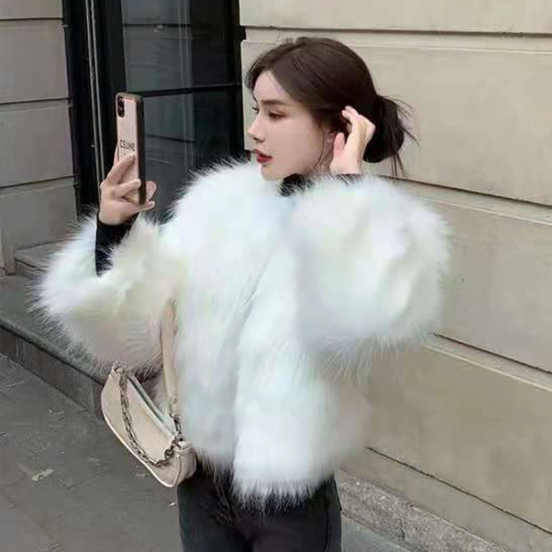 Women Korean Faux Fur Coat Short Slim Elegant Youthful Versatile Fur Jacket Furry Elegant Overcoat Autumn Winter New Fashion2024