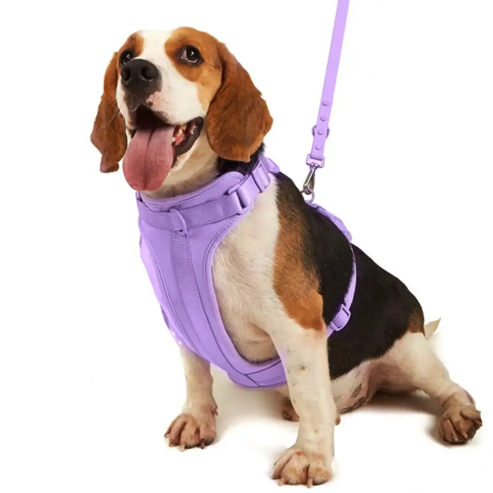 Dog Harness Vest Color Fashion Reflective Adjustable Pet Chest Strap Dog Clothes Breathable Pvc Pet Harenss for Outdoor Walking