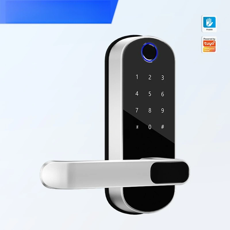 

Single Tongue Wooden Door Smart Graffiti Fingerprint Lock Through Lock Replacement Spherical WiFi
