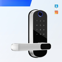 Single Tongue Wooden Door Smart Graffiti Fingerprint Lock Through Lock Replacement Spherical WiFi