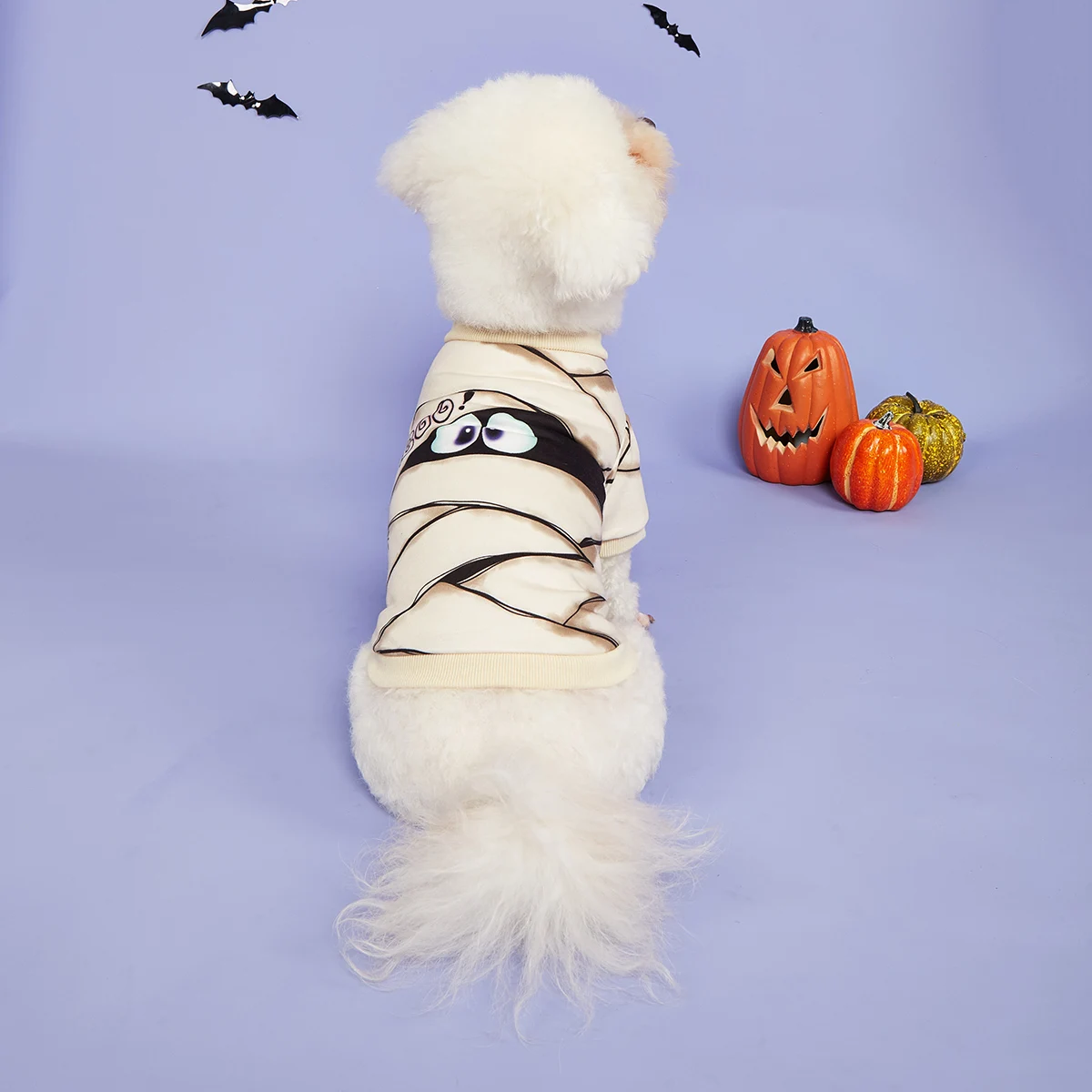 Dog Hoodies Puppy with Cute Mummy Eye and Spider Printed Sweatshirts for Small Medium Dog Cat Soft and Comfort Shirts Halloween