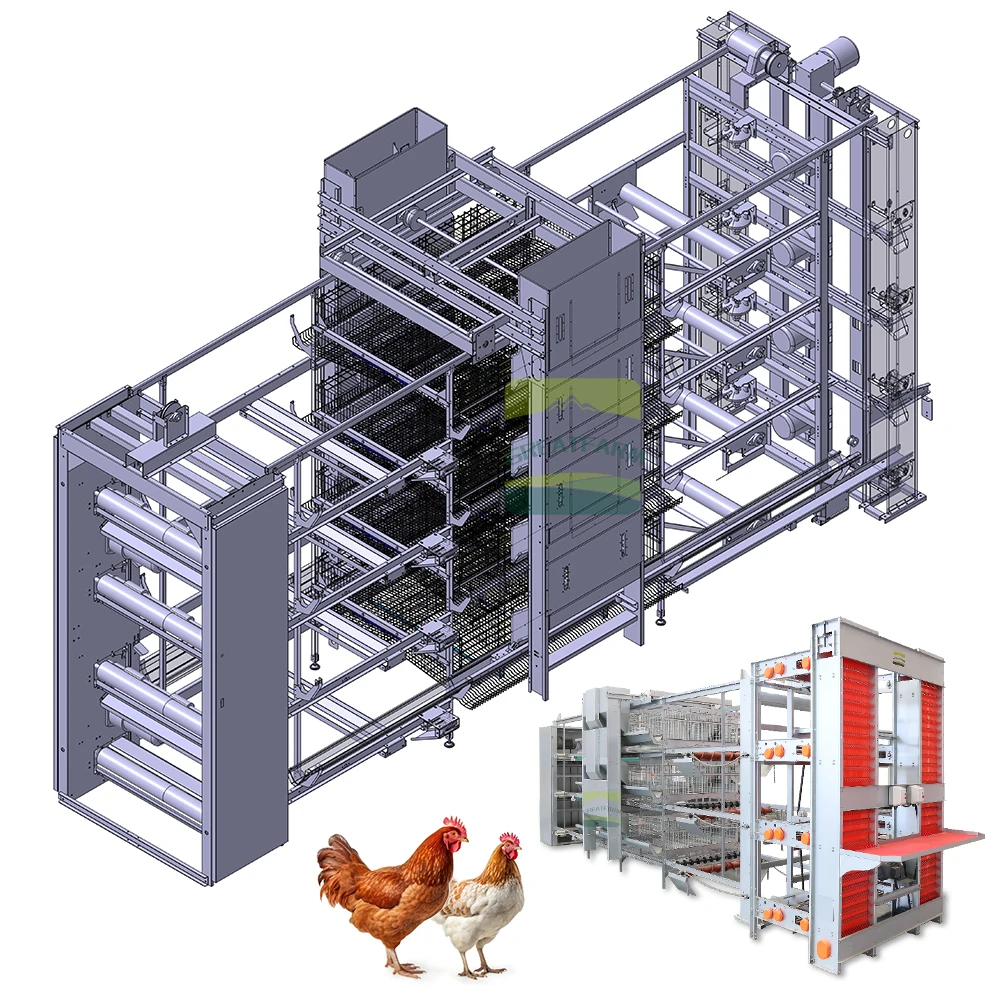

Fully Automatic Hot Dip Galvanized H Type Laying Hen Cage For Farm