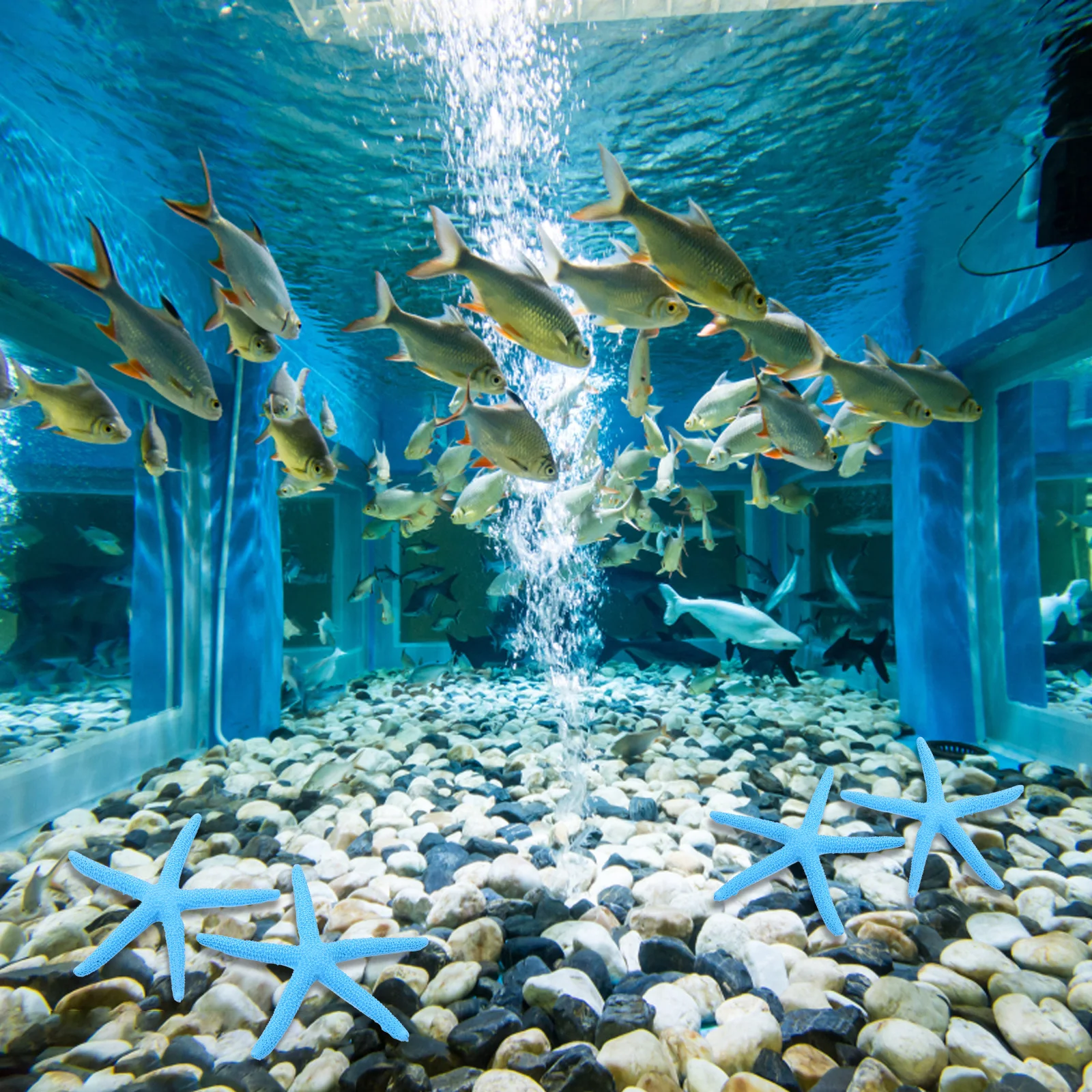 10 قطعة نجوم البحر الراتنج مصقولة السلس غير سامة حوض السمك ديكور مثالية لخزان المناظر الطبيعية حية أنيقة تعزيز الملحقات #1