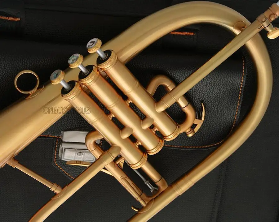 Great Professional Bb Flugelhorn Brushed 24K Gold Plated Flugel WFH- 183