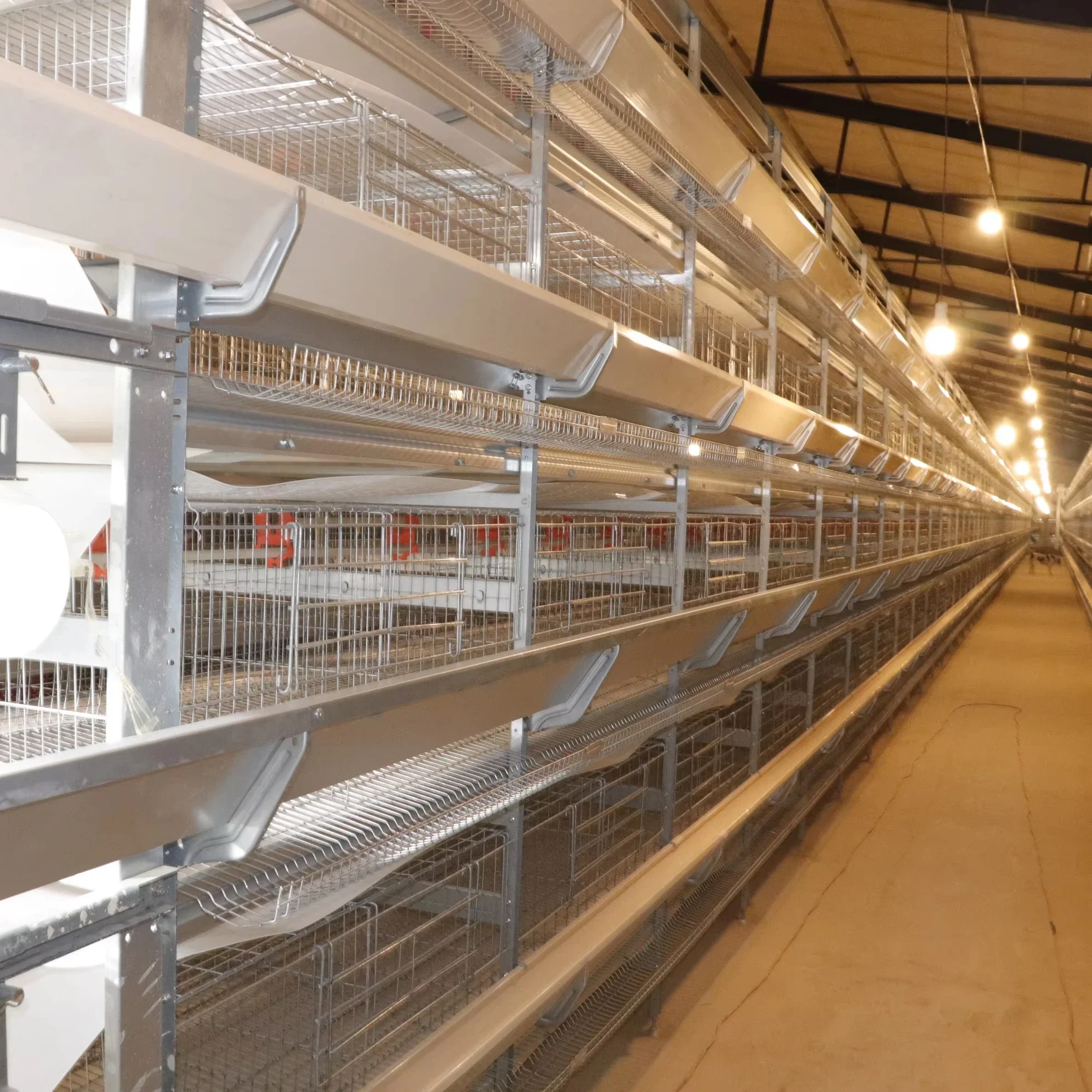 H type poultry layer cage chicken cage with automatic feeding drinking system for chicken farms