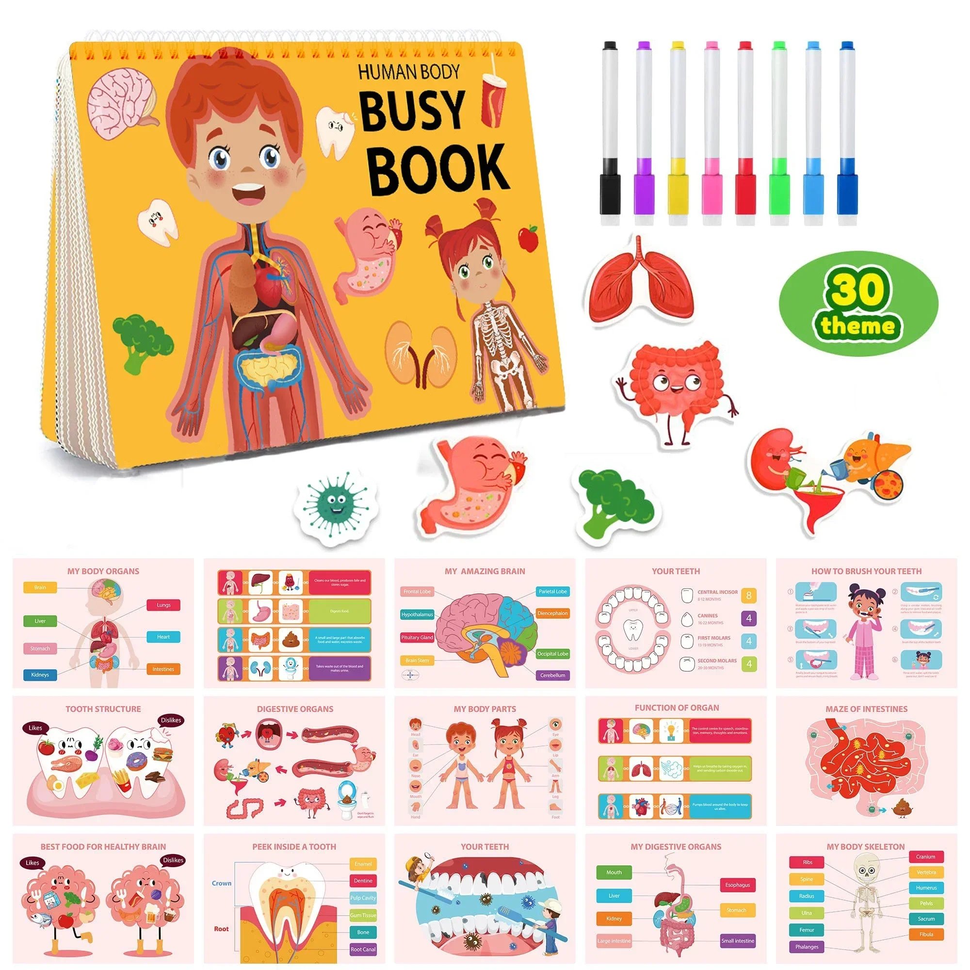 

Human Body Anatomy Busy Book for Kids,kindergarten Preschool Learning Activities,Toddler Busy Book,Autism Sensory Toys