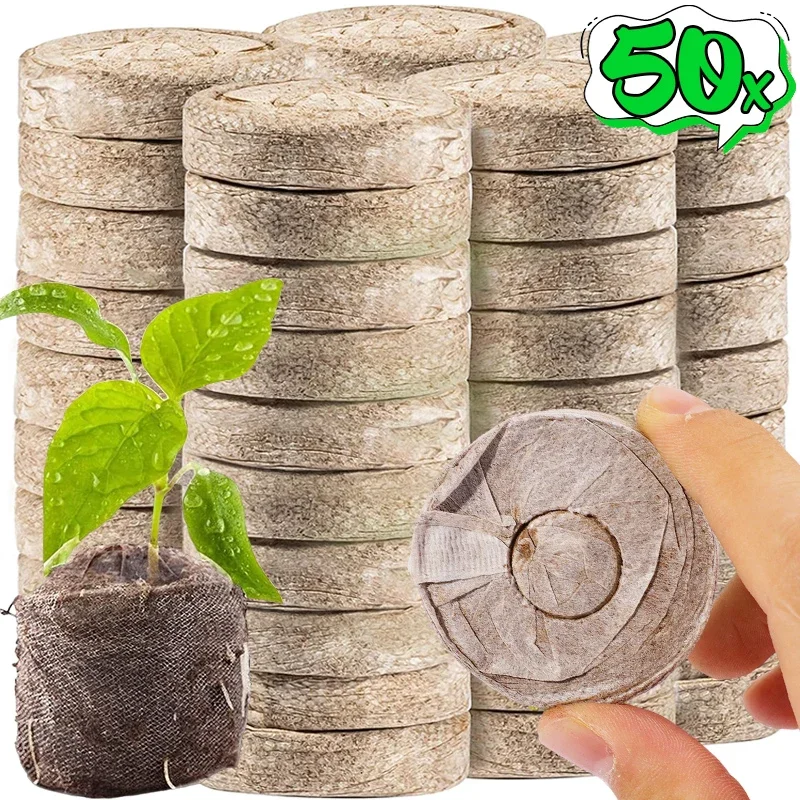 50/10x pelotas de turba tapones de inicio de semillas paleta bloque de suelo de plántulas tela no tejida suelo nutritivo bloque de vivero trasplante de plantas
