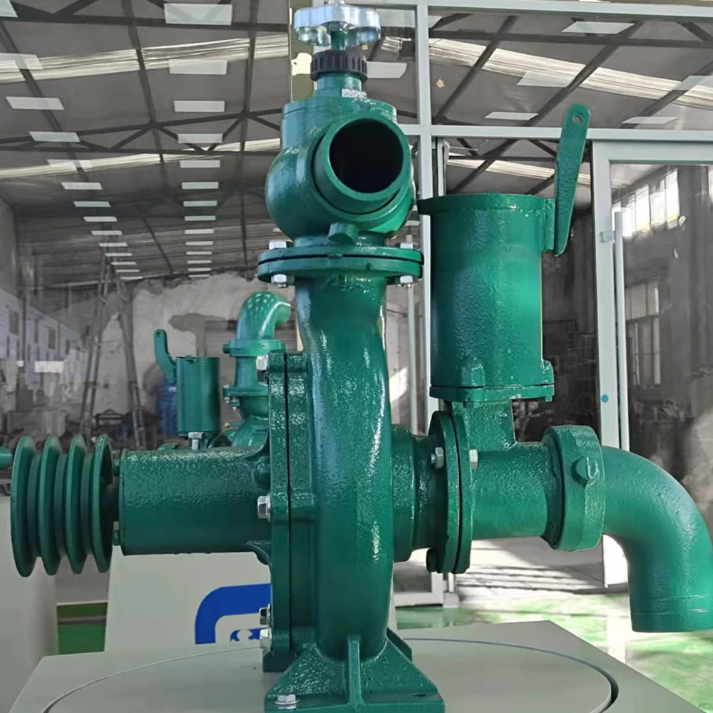 Mountain Irrigation Large Flow 4 Inch High Pressure Water Pump