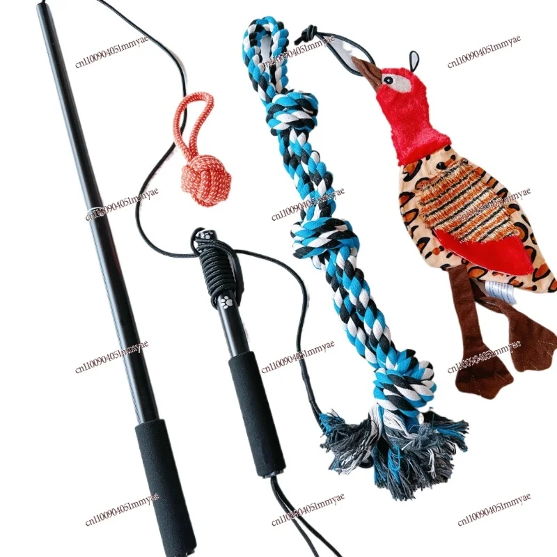 

Dog Teaser Rod Is Strong and Resistant To Gnashing Teeth