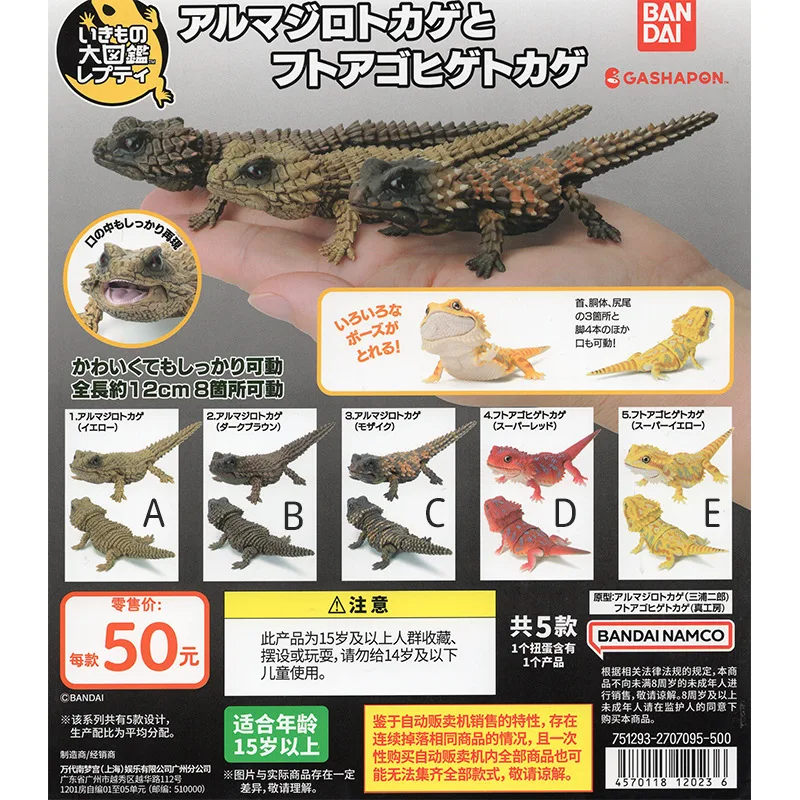 Bandai Japan Gashapon Figurine Anime Cute Simulation Biology Map Armadillo Lizard Action Figure Assembly Model Capsule Toys