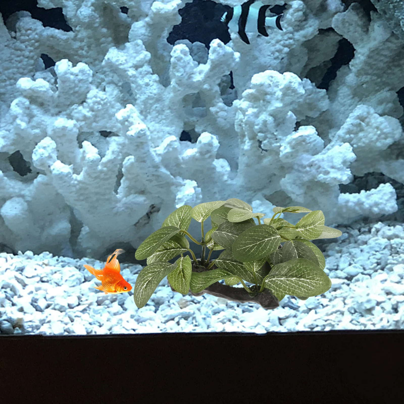 

Lifelikefish Tank Ornament Aquarium Plants Plastic No Toxic Easy Stand Fish Tank Decorations Aquarium Decorations